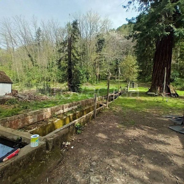 terreno agricolo in vendita a Vaglia