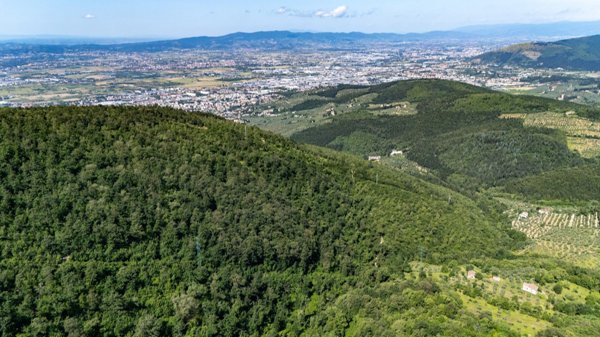 esavano in vendita a Vaglia