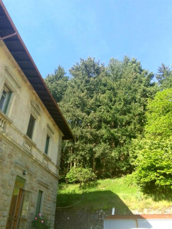 casa indipendente in vendita a Vaglia