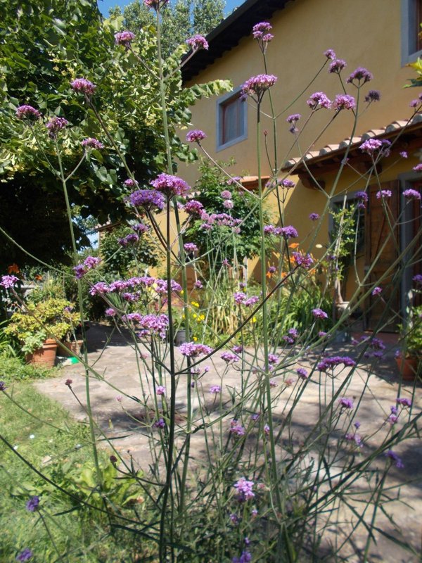 appartamento in vendita a Vaglia