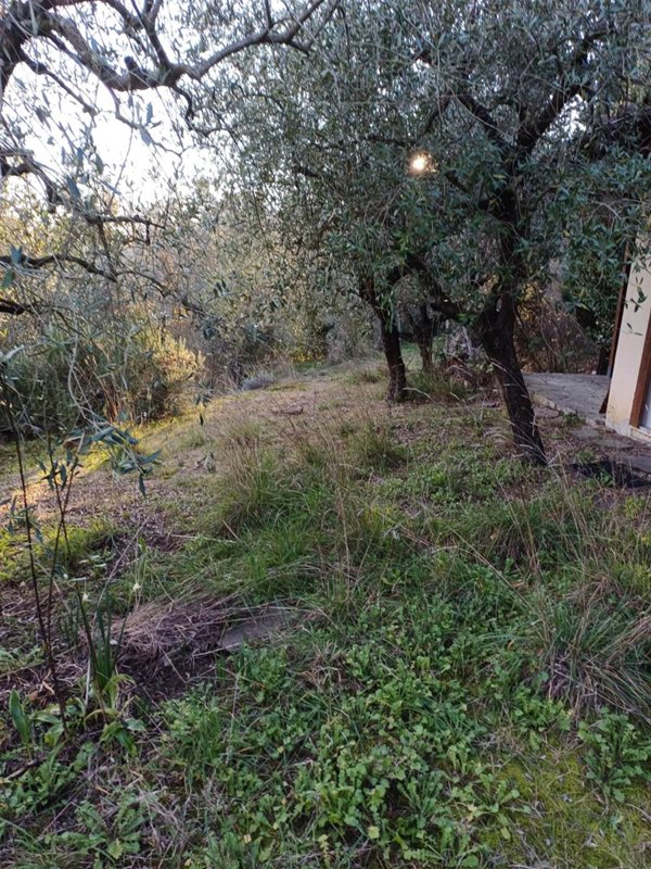 locale di sgombero in vendita a Vaglia