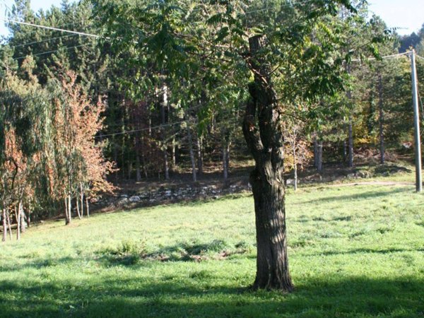 casa indipendente in vendita a Vaglia