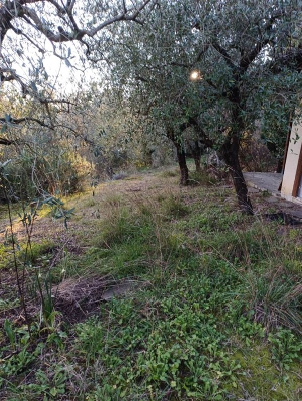 locale di sgombero in vendita a Vaglia