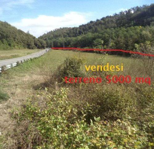 terreno agricolo in vendita a Vaglia