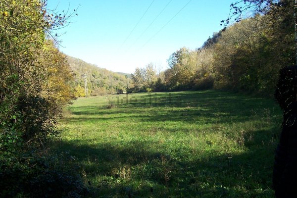 terreno agricolo in vendita a Vaglia