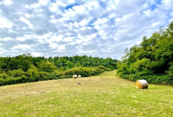 terreno agricolo in vendita a Vaglia