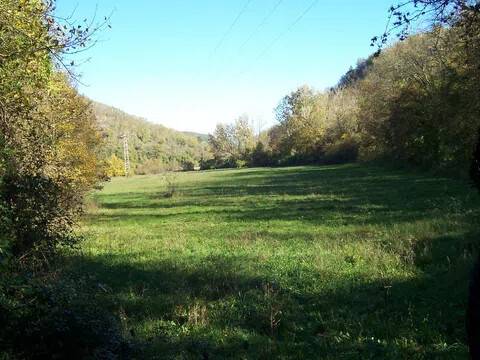 terreno agricolo in vendita a Vaglia