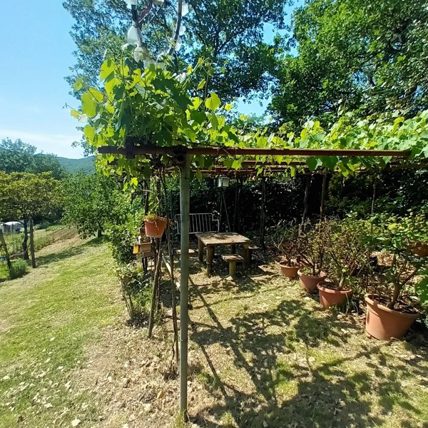 terreno agricolo in vendita a Vaglia