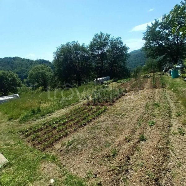 terreno agricolo in vendita a Vaglia