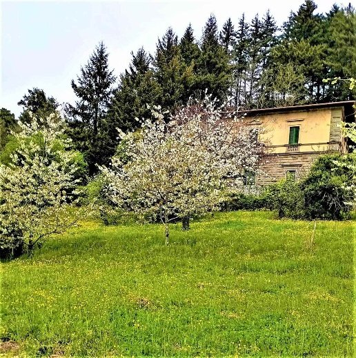casa indipendente in vendita a Vaglia