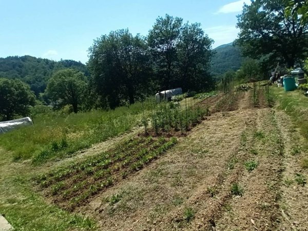 terreno agricolo in vendita a Vaglia