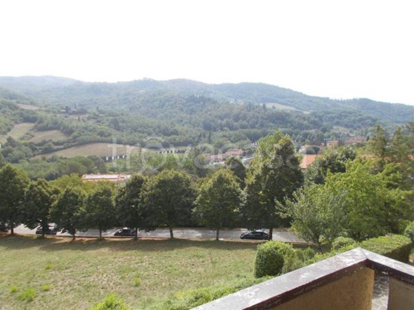 immagine annuncio 0 di 15