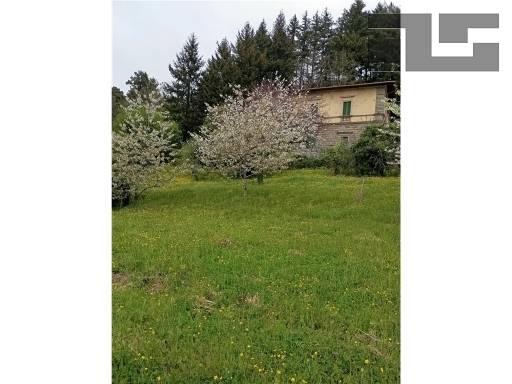 casa indipendente in vendita a Vaglia