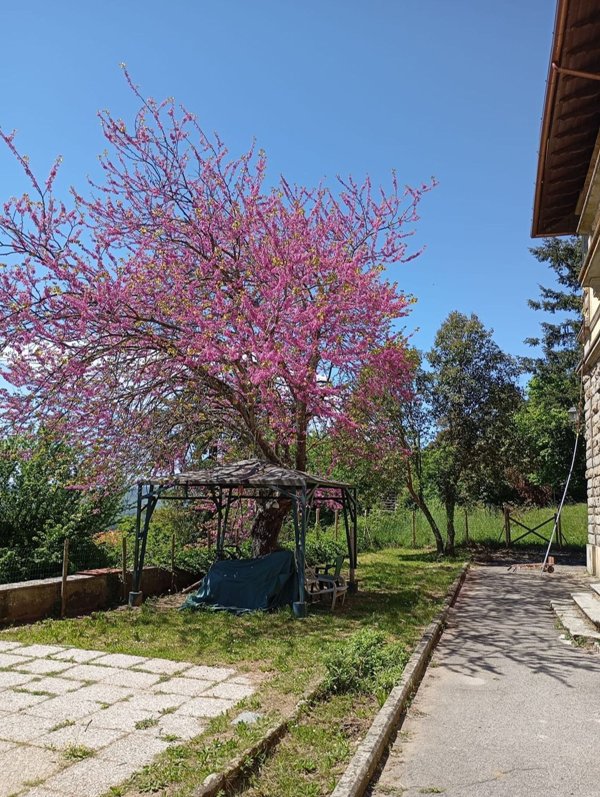 casa indipendente in vendita a Vaglia