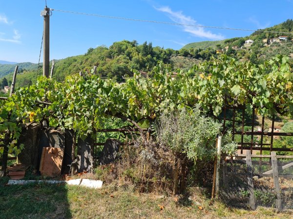 quadrivano in vendita a Vicchio