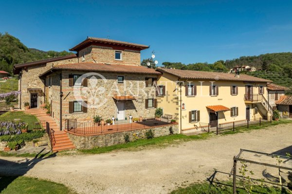 azienda agricola in vendita a Vicchio