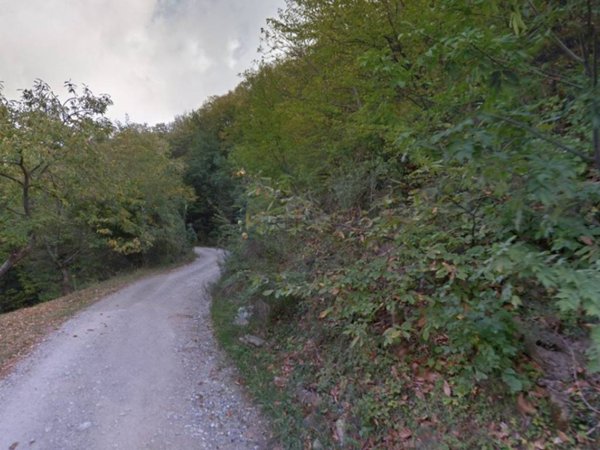 terreno agricolo in vendita a Vicchio