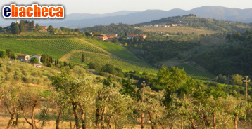 appartamento in vendita a Vicchio