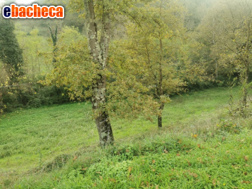 appartamento in vendita a Vicchio