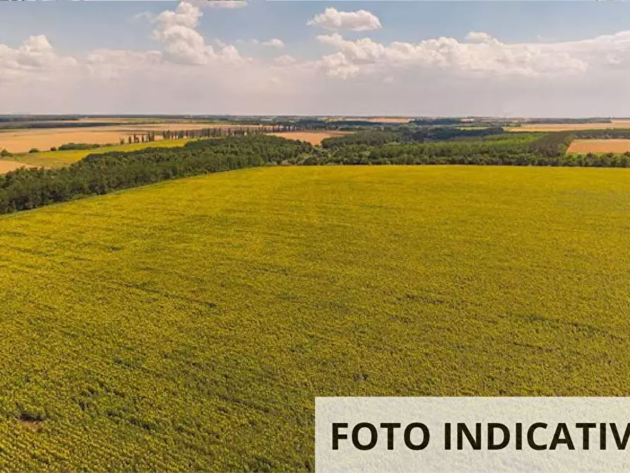 terreno agricolo in vendita a Vicchio in zona Gattaia