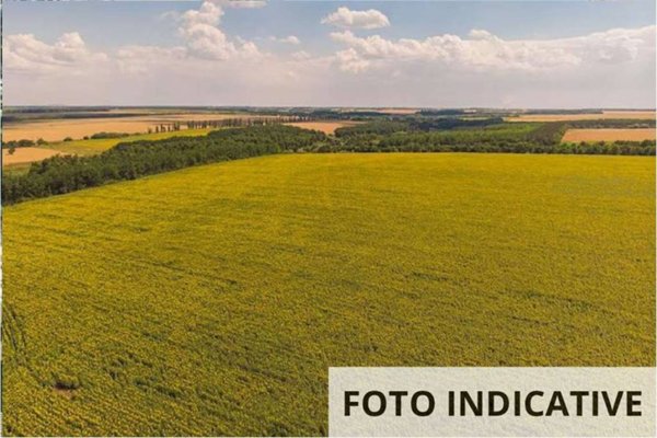 appartamento in vendita a Vicchio in zona Gattaia