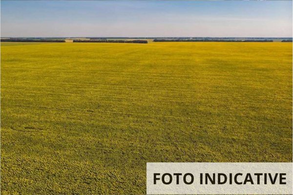 terreno agricolo in vendita a Vicchio in zona Villore
