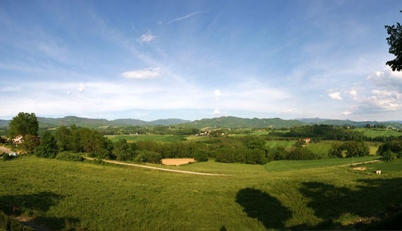 azienda agricola in vendita a Vicchio