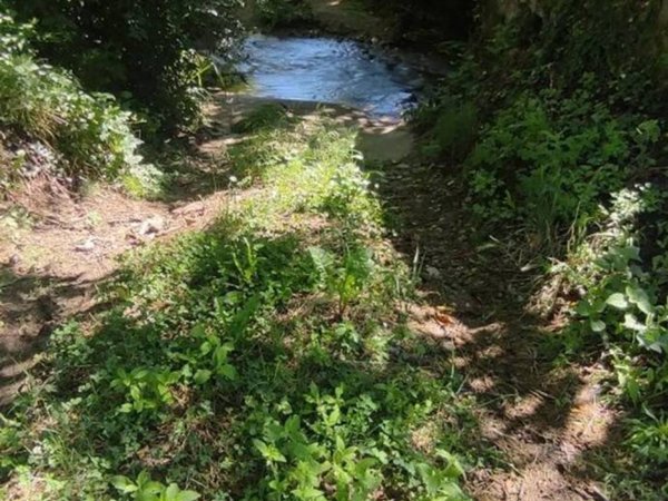 terreno agricolo in vendita a Vicchio
