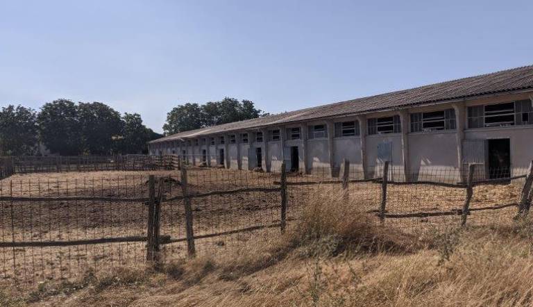 appartamento in vendita a Vicchio in zona Pilarciano