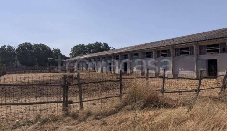 appartamento in vendita a Vicchio in zona Pilarciano