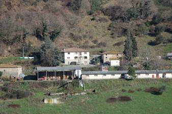 casa semindipendente in vendita a Vicchio in zona Rostolena