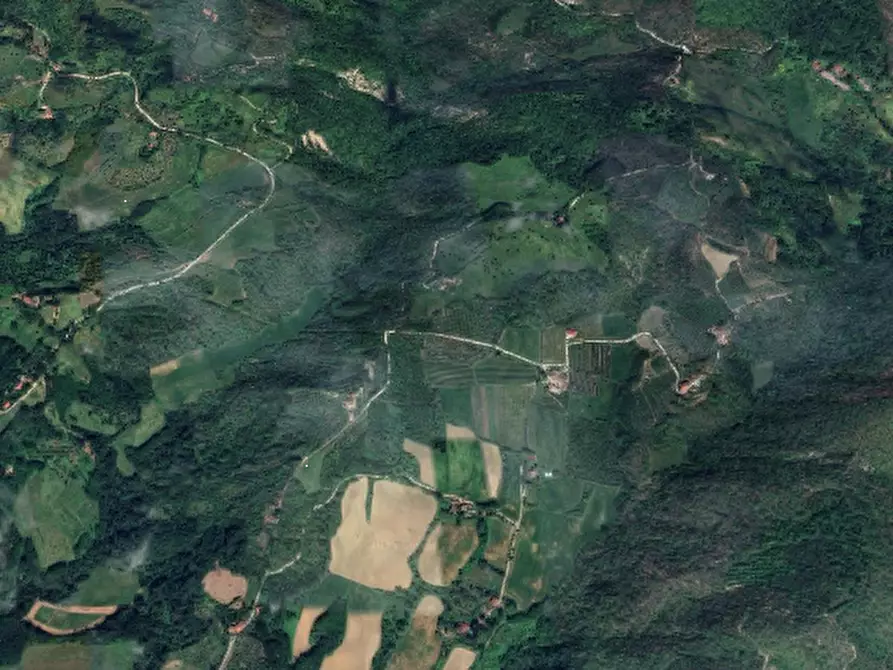 terreno agricolo in vendita a Vicchio