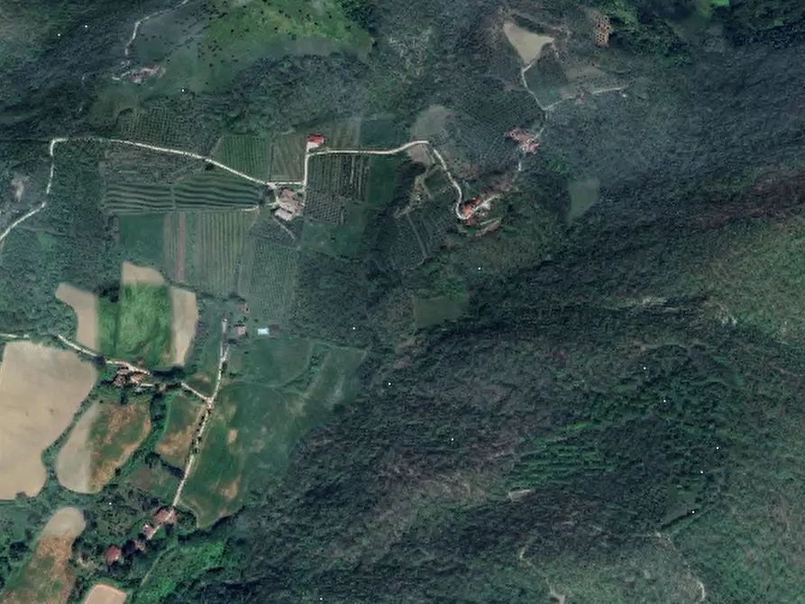 terreno agricolo in vendita a Vicchio