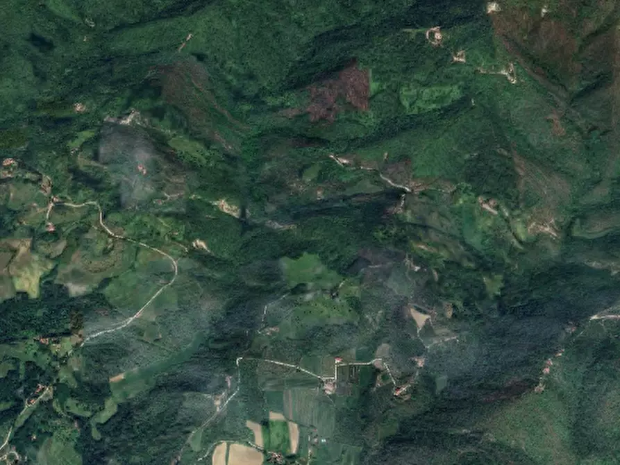 terreno agricolo in vendita a Vicchio
