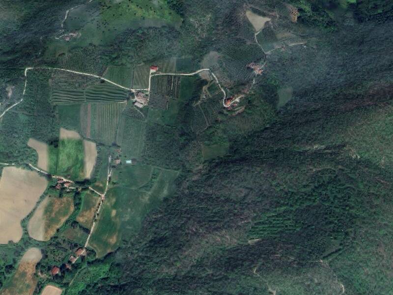 terreno agricolo in vendita a Vicchio