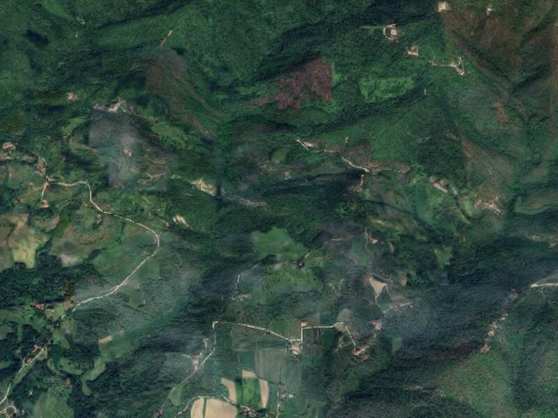 terreno agricolo in vendita a Vicchio