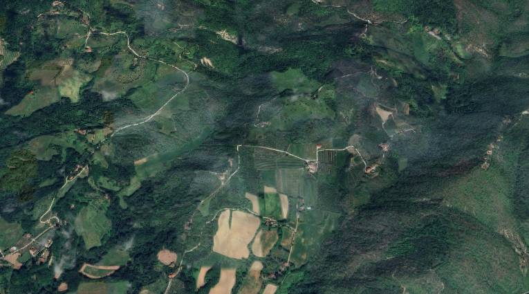 terreno agricolo in vendita a Vicchio