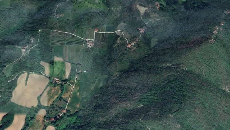 terreno agricolo in vendita a Vicchio