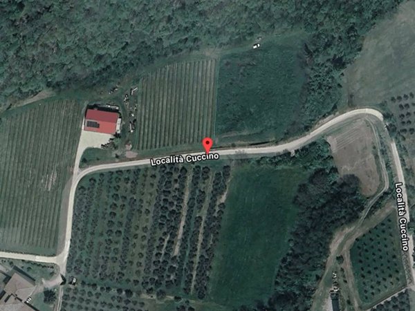 terreno agricolo in vendita a Vicchio