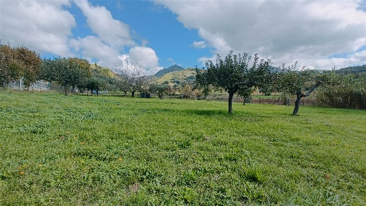 casa indipendente in vendita a Vicchio