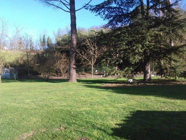 casa indipendente in vendita a Vicchio