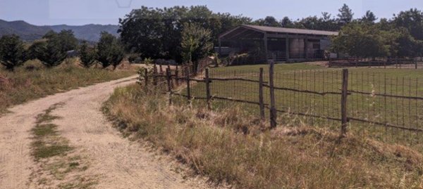 appartamento in vendita a Vicchio in zona Pilarciano