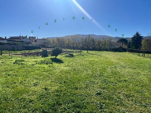 terreno agricolo in vendita a Vicchio in zona Vespignano