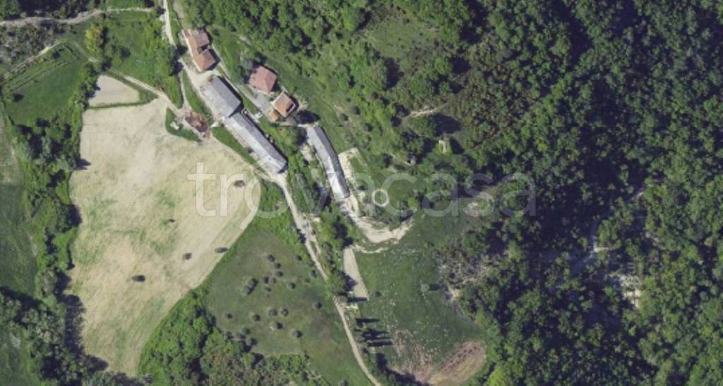 terreno agricolo in vendita a Vicchio