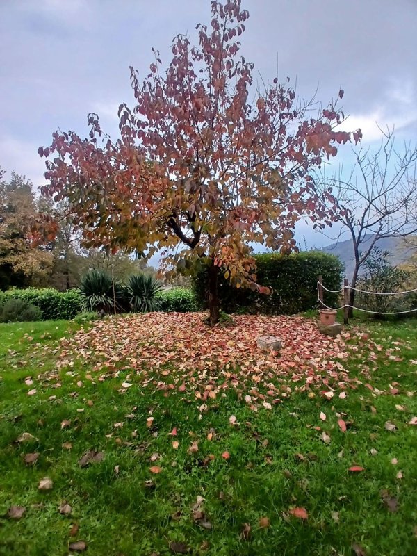 casale in vendita a Vicchio