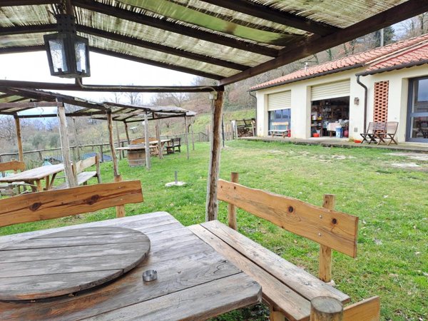 azienda agricola in vendita a Vicchio