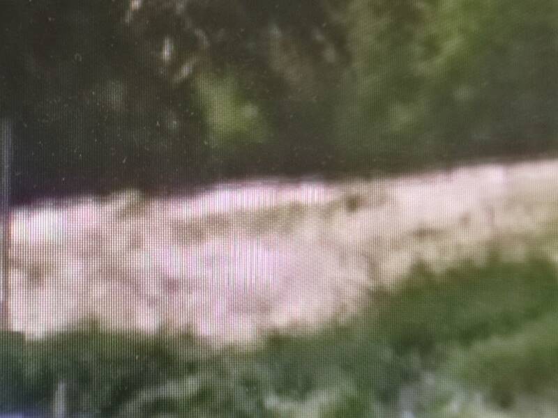 terreno agricolo in vendita a Vicchio