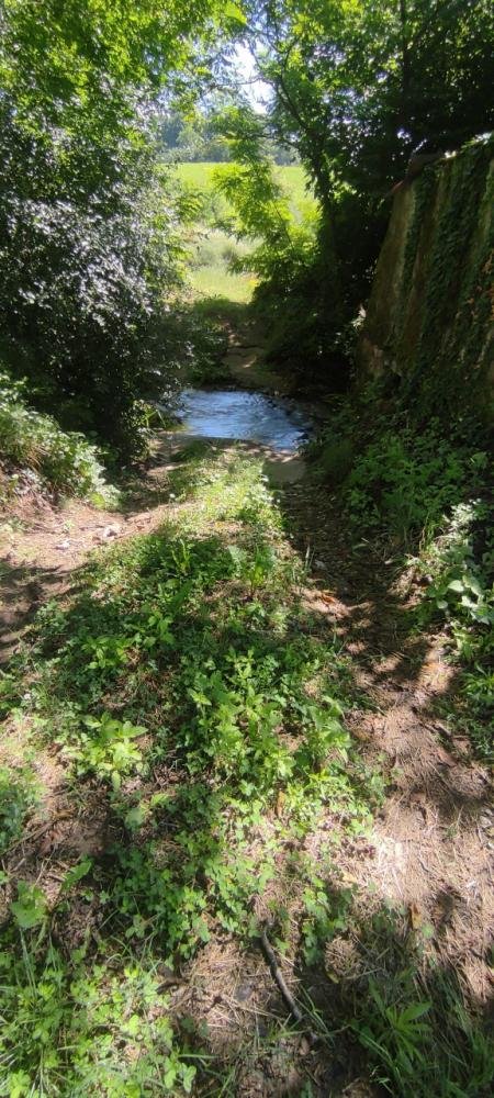 terreno agricolo in vendita a Vicchio