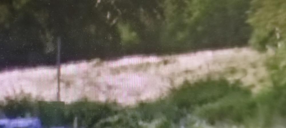 terreno agricolo in vendita a Vicchio