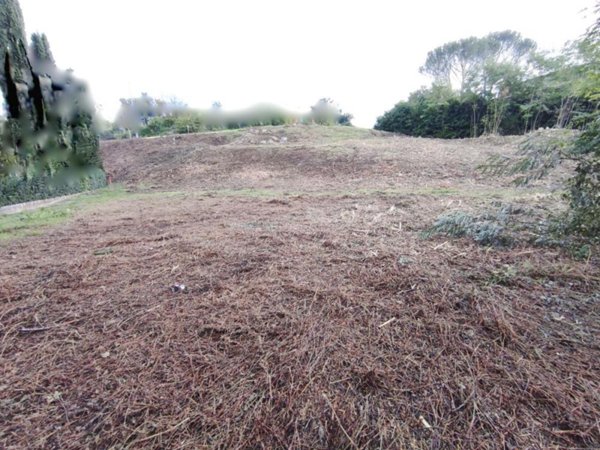 terreno edificabile in vendita a Vicchio